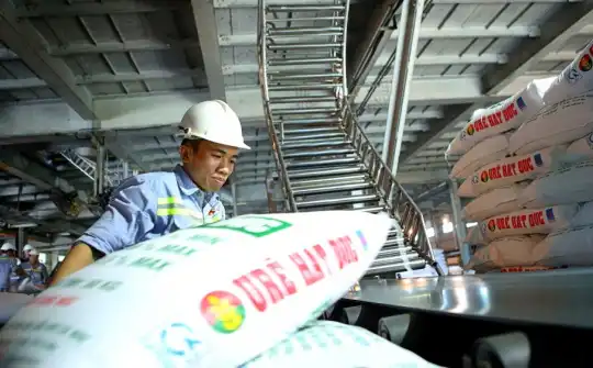 Giá phân bón bước vào chu kỳ mới, kỳ vọng loạt doanh nghiệp hưởng lợi