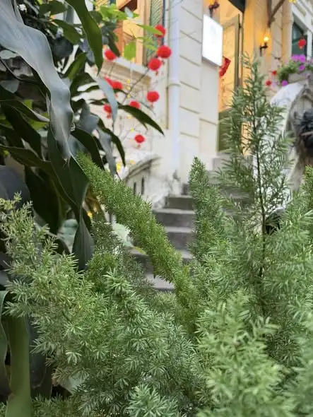 Khi Tết chạm ngõ: Không gian The Hanoian rộn ràng sắc xuân