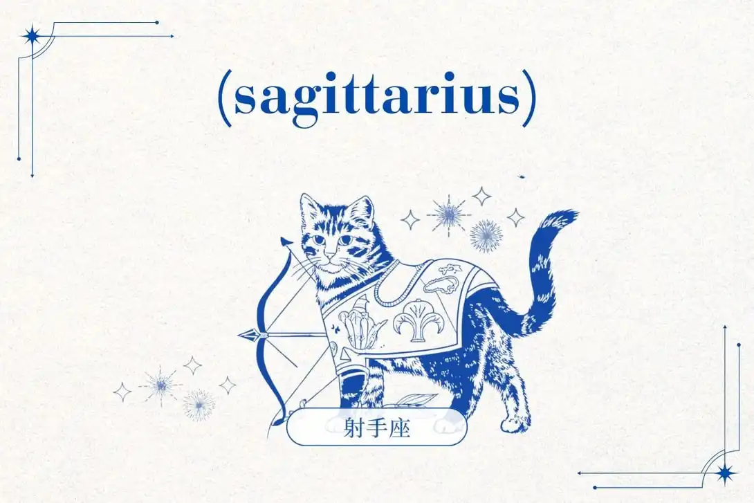 Có một cảm giác ổn định về việc hòa mình vào thiên nhiên và tâm linh, điều này thực sự có thể mang đến cho Nhân Mã một mối quan hệ rất đặc biệt. Bạn có thể cảm thấy bế tắc và cần khám phá thế giới theo một cách hoàn toàn khác, và đó chính là thời điểm người này sẽ đến. Họ đang cảm nhận được điều đó. https-popbeecom-image-2025-11-2026-horoscope-prediction-and-ways-to-boost-10.jpg