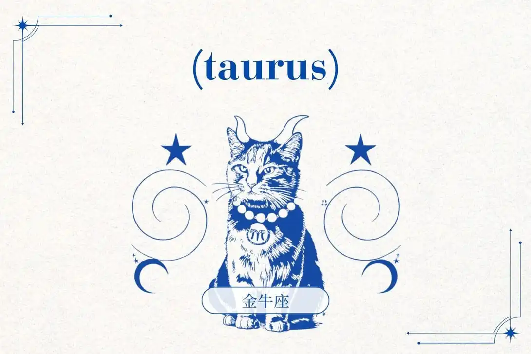 Kim Ngưu sẽ bị mắc kẹt trong một số khuôn mẫu của quá khứ và nhanh chóng nhận ra điều gì thực sự cần được sửa chữa và hàn gắn. Một số rắc rối trong mối quan hệ đã được đưa lên bề mặt để được 'thanh tẩy' bởi 'năng lượng vũ trụ' hiện tại. Những vấn đề chưa được giải quyết trong quá khứ của bạn có thể bất ngờ nổi lên mạnh mẽ, mang đến cho bạn cái nhìn toàn diện hơn về cuộc sống, thậm chí còn giúp bạn kết nối và nhận ra sức mạnh của chính mình. Hãy nhớ rằng, cuối cùng, bạn có thể nắm lấy sự tự chủ và tạo ra cuộc sống mình mong muốn mà không cần phải từ bỏ các mối quan hệ. https-popbeecom-image-2025-11-2026-horoscope-prediction-and-ways-to-boost-3.jpg