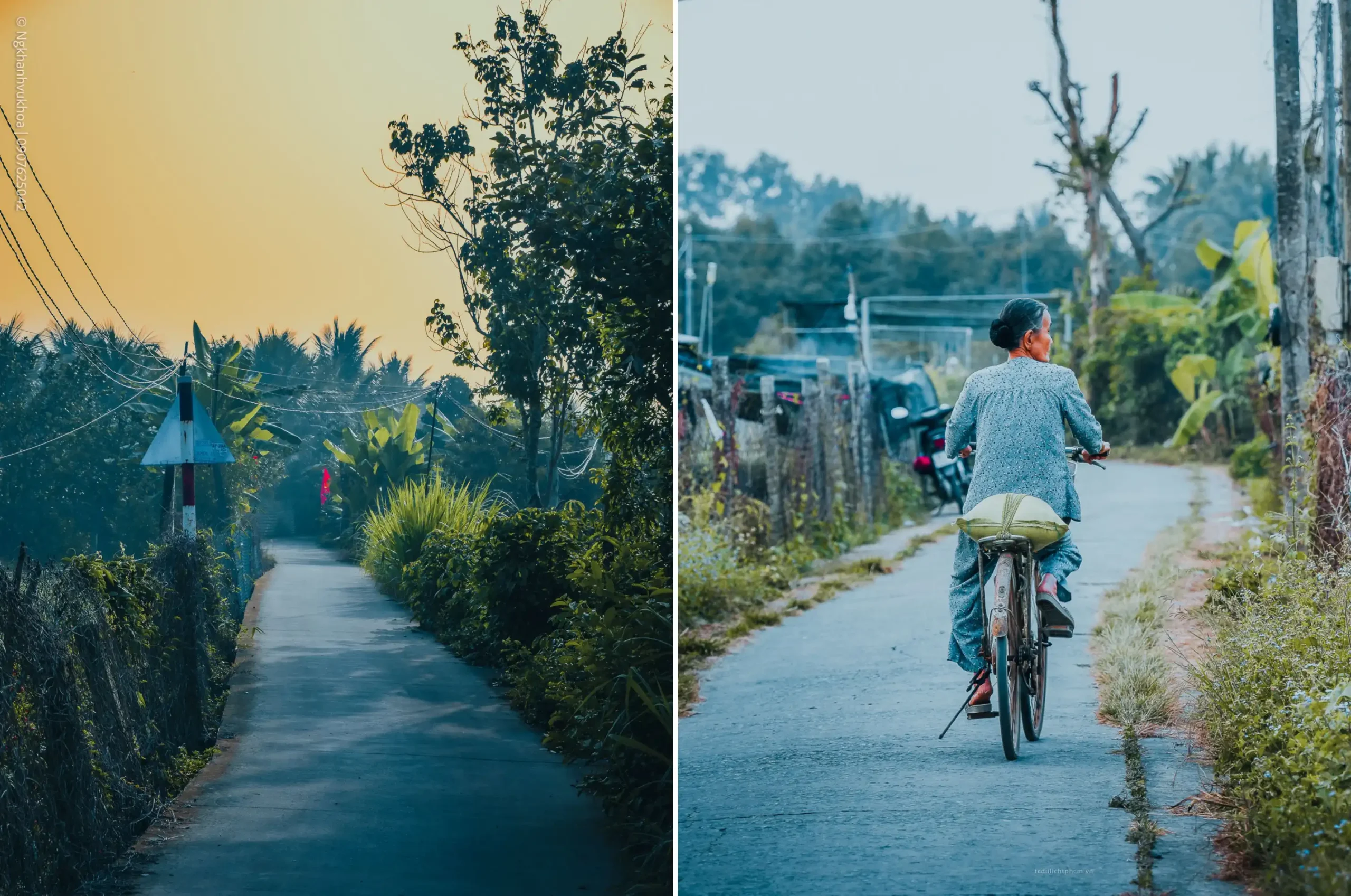 lang hoa my phong: suc song vuon choi sau mot mua hoa trac tro - 2