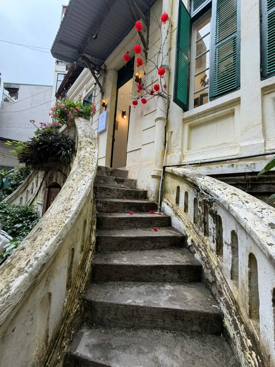 Tết đã về tới The Hanoian – 5 Trần Phú: Khi hương cà phê đánh thức mùa xuân Hà Nội